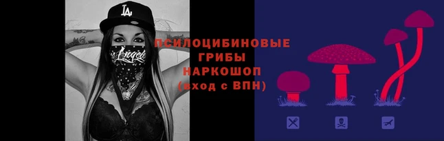 скорость Арсеньев