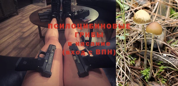 бошки Аркадак