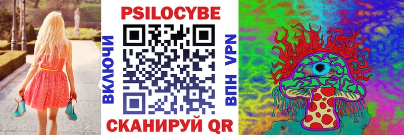 блэк спрут ССЫЛКА  продажа наркотиков  Серов  Галлюциногенные грибы мицелий 